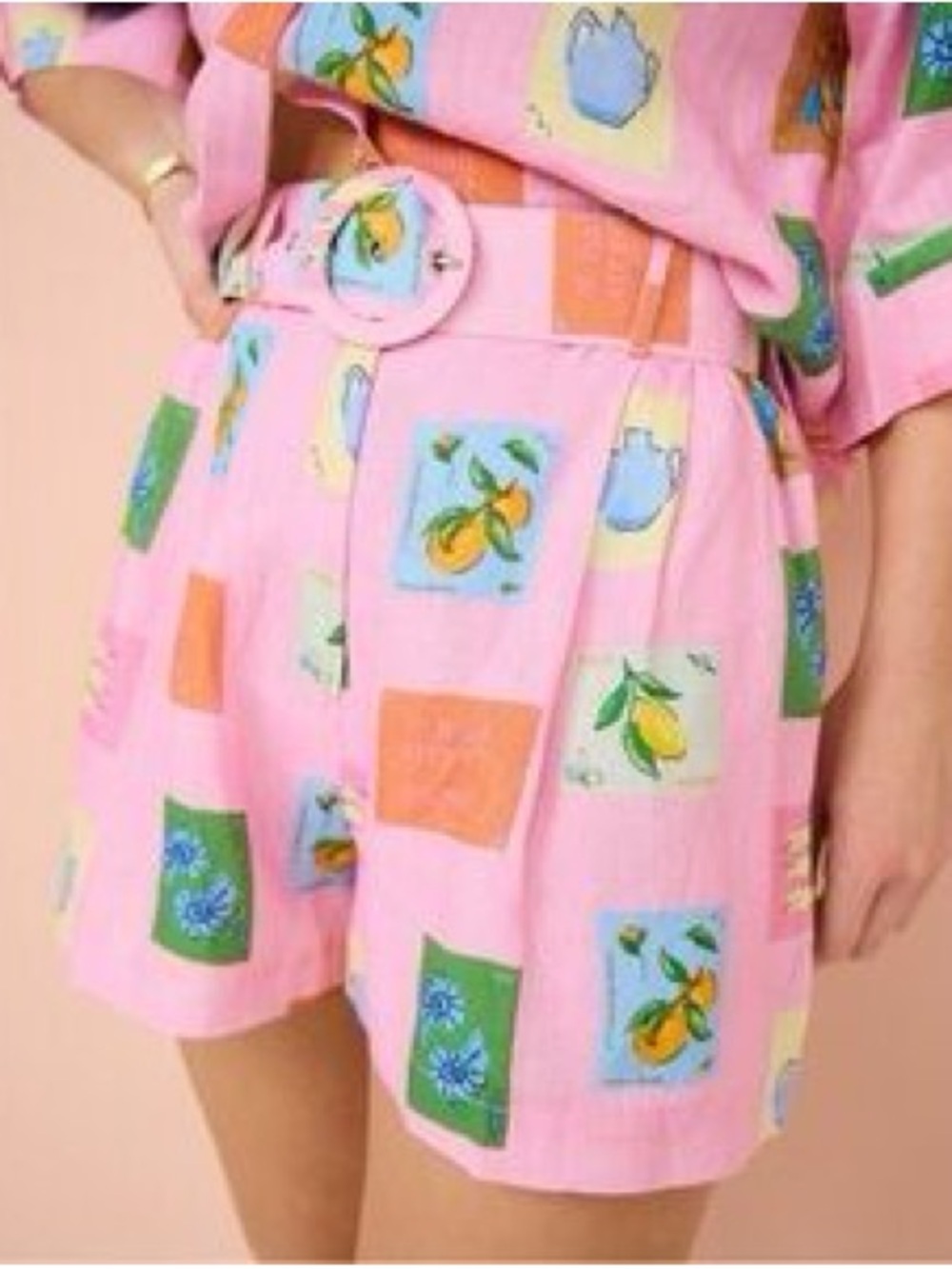 High-Waist Pink Fruit Print Belted Women's Shorts size small or 6 travel
